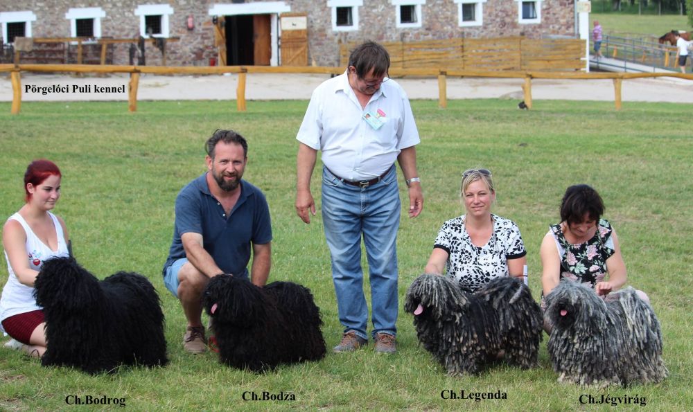 34448064_1944290332289289_3354691795471564800_n