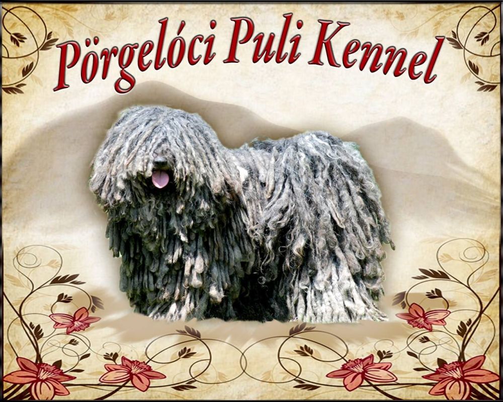 42045271_2123678271017160_4031635850285547520_n