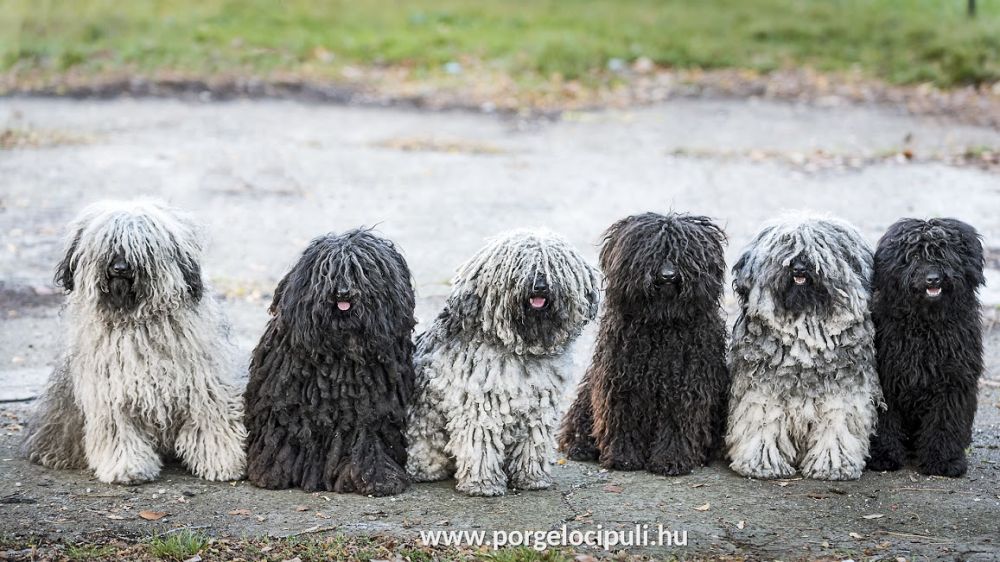 558006860_25350297467928579_2176175540092787605_n