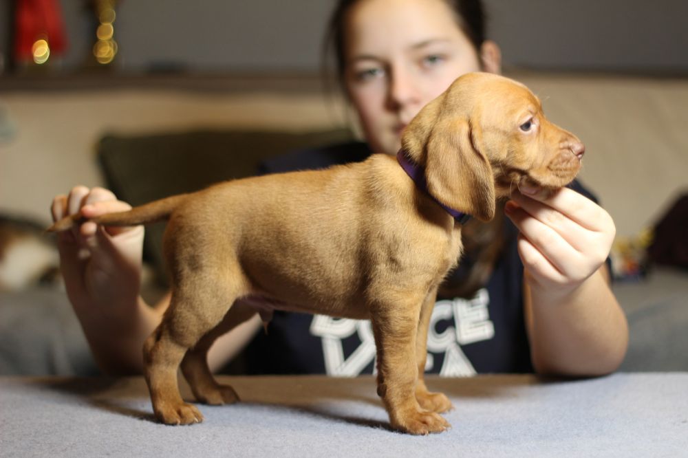 622779043_122274092678031315_5704308920780008234_n