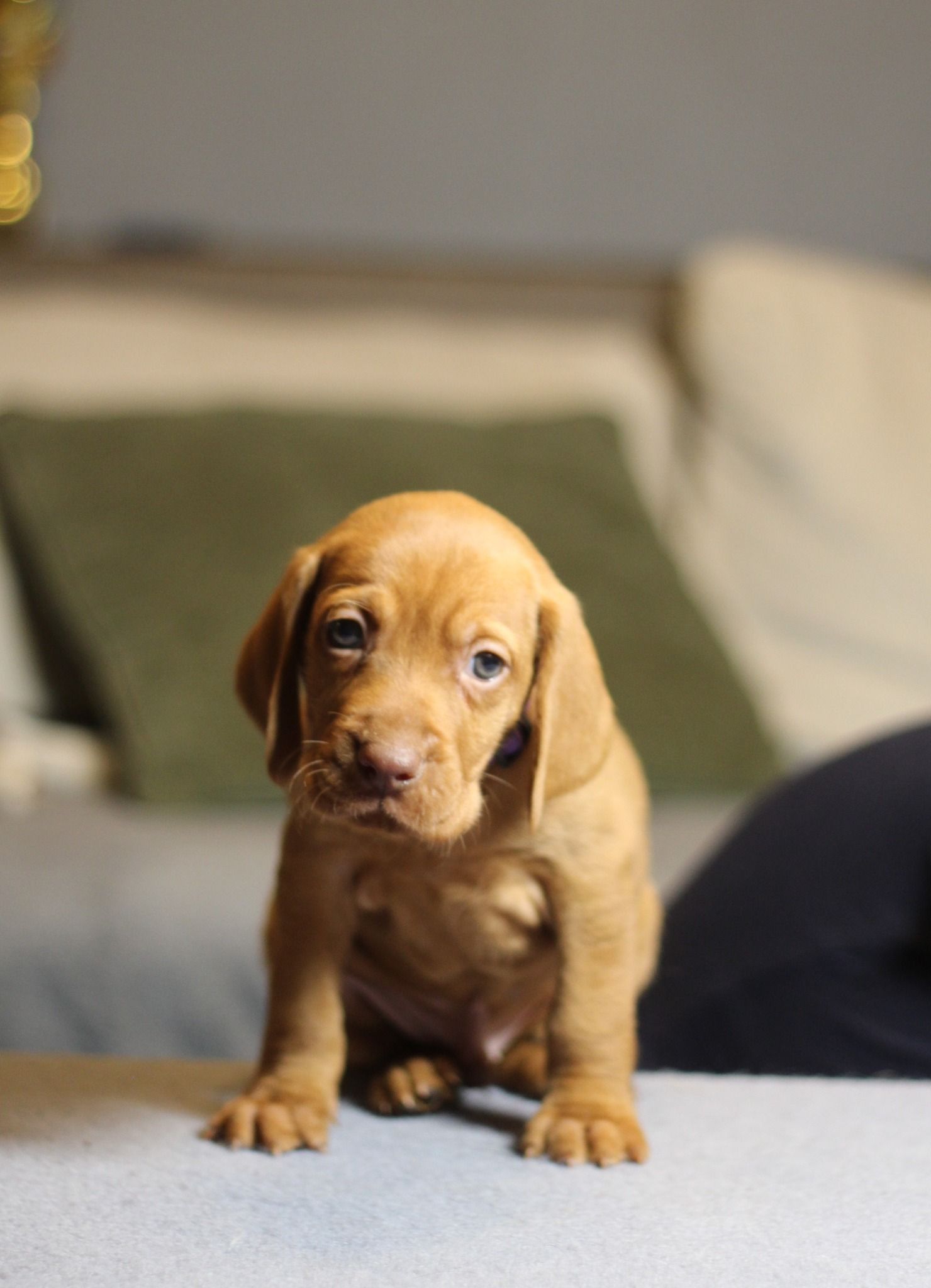 623304501_122274092648031315_1205307890309401213_n