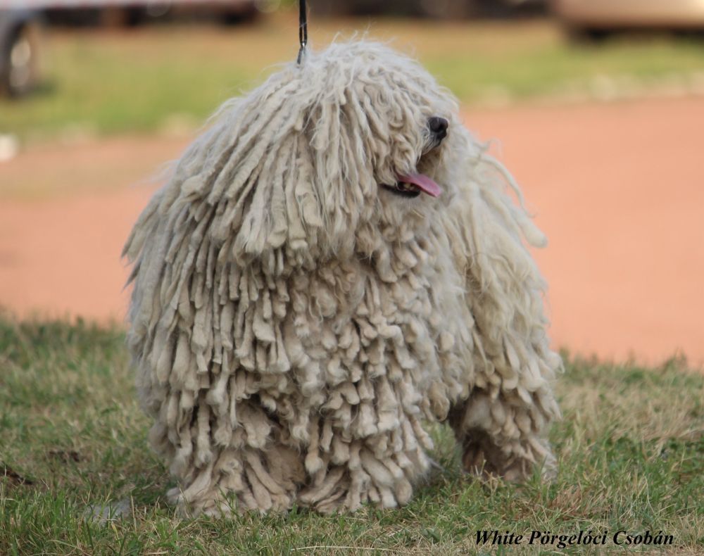 67176709_2473945016167318_7429802898160091136_n