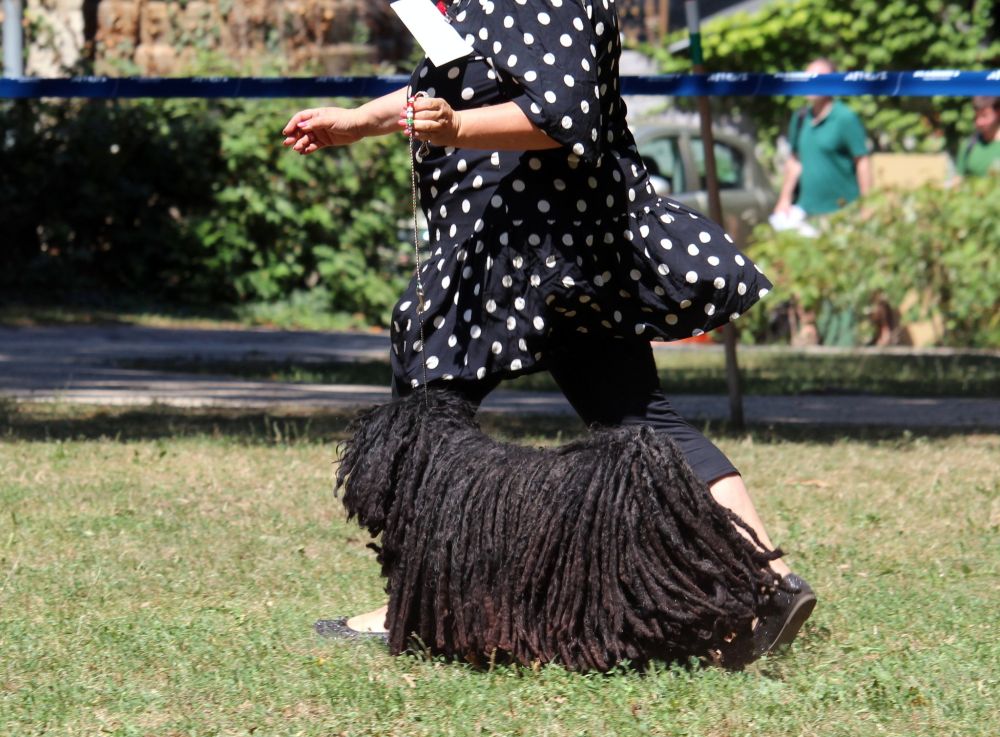 484790987_1340736403753262_2155140516914649872_n