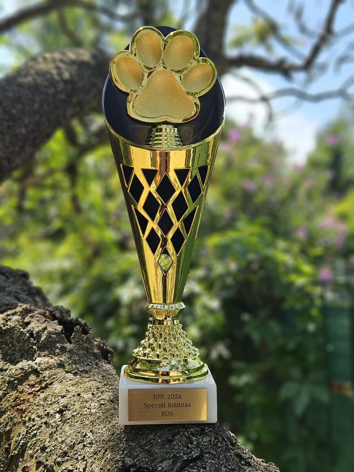 484821666_1340736350419934_483288315029287596_n