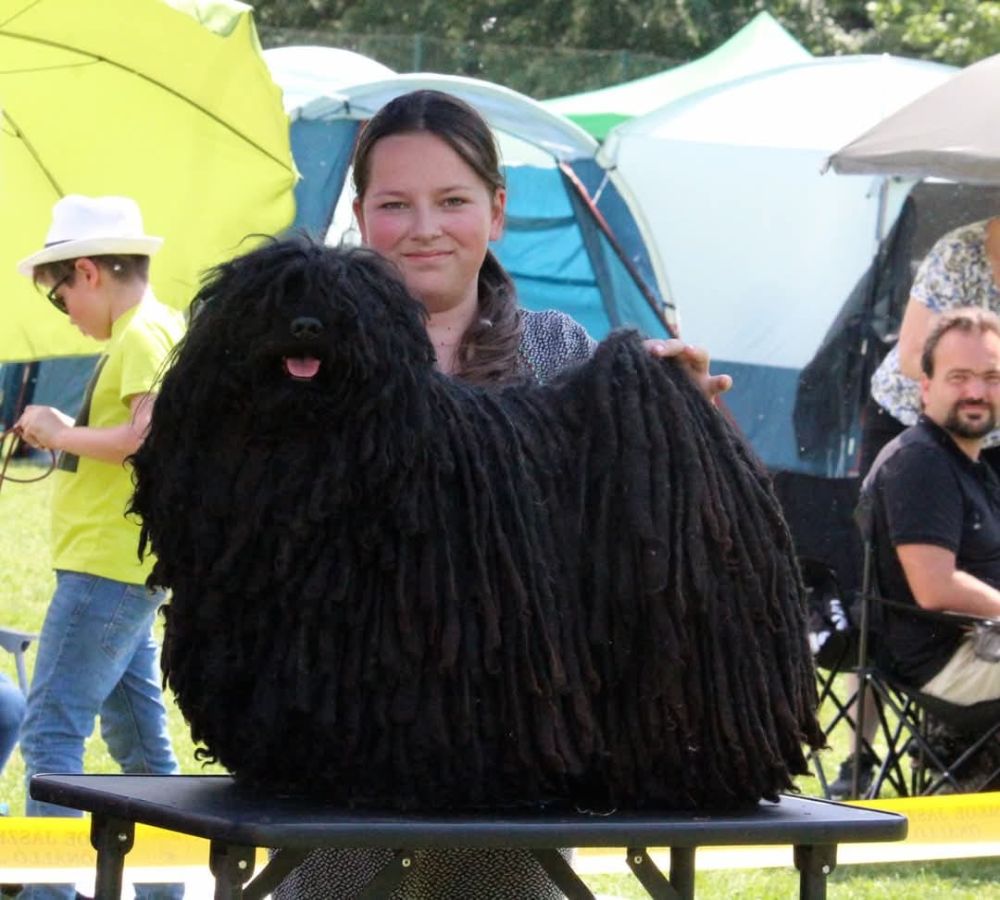 485133692_1341762680317301_8621606703622041020_n