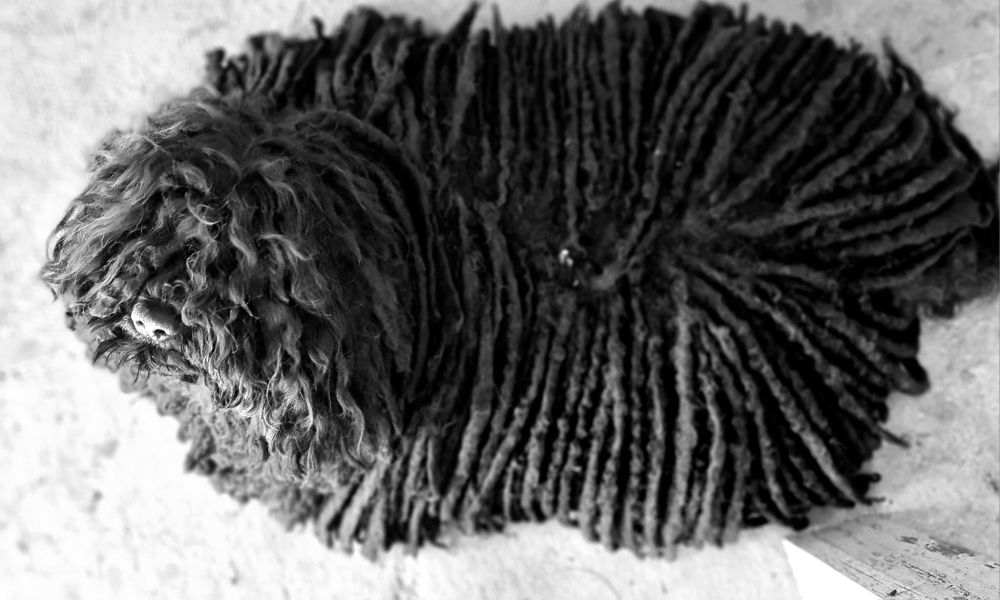 492527736_10012074908804806_5765874442760179745_n