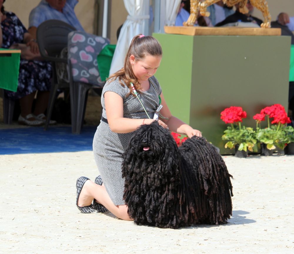 497437896_23937408359178226_5497075772257054181_n_1