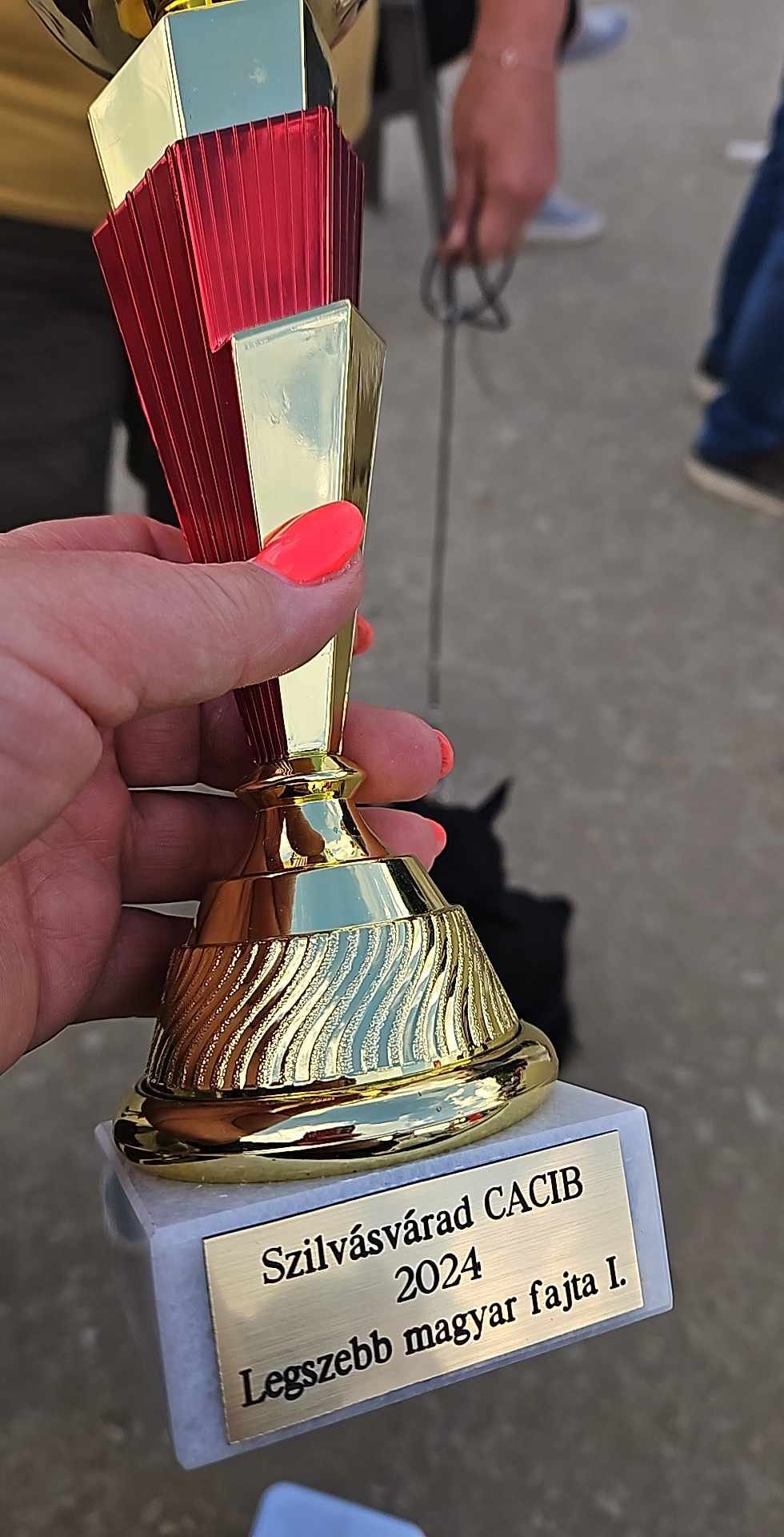 497449984_23936797355905993_8988088931040647866_n