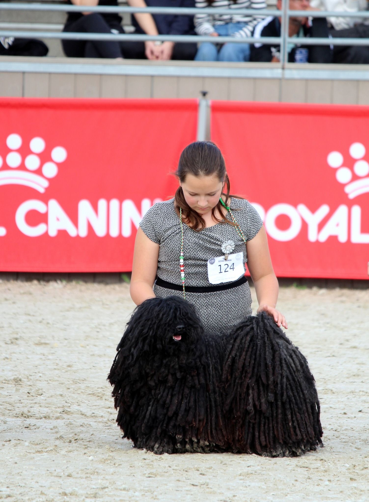 497450738_23937408352511560_817231195641921398_n