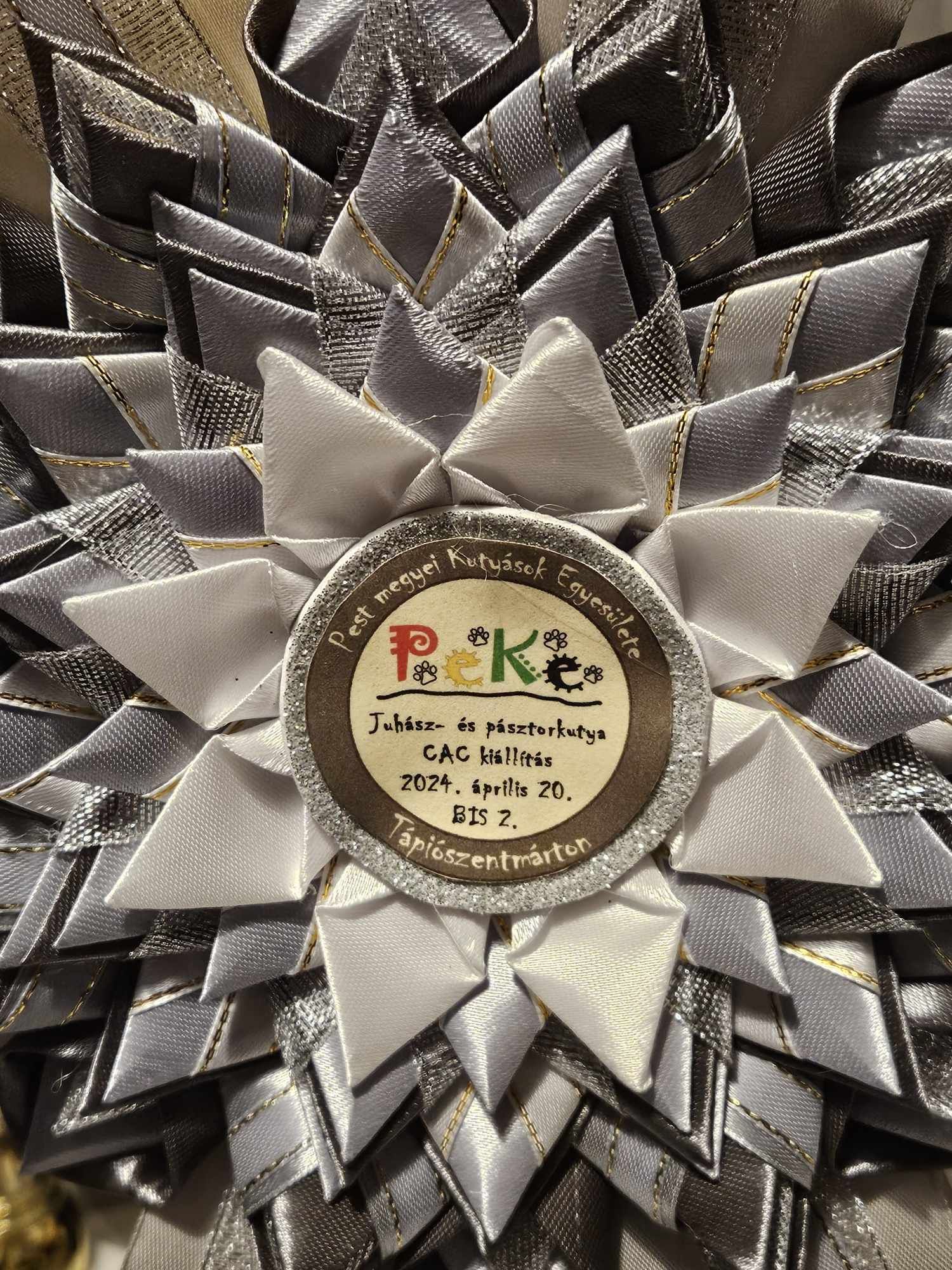 497491590_23927863146799414_7810306702308379259_n