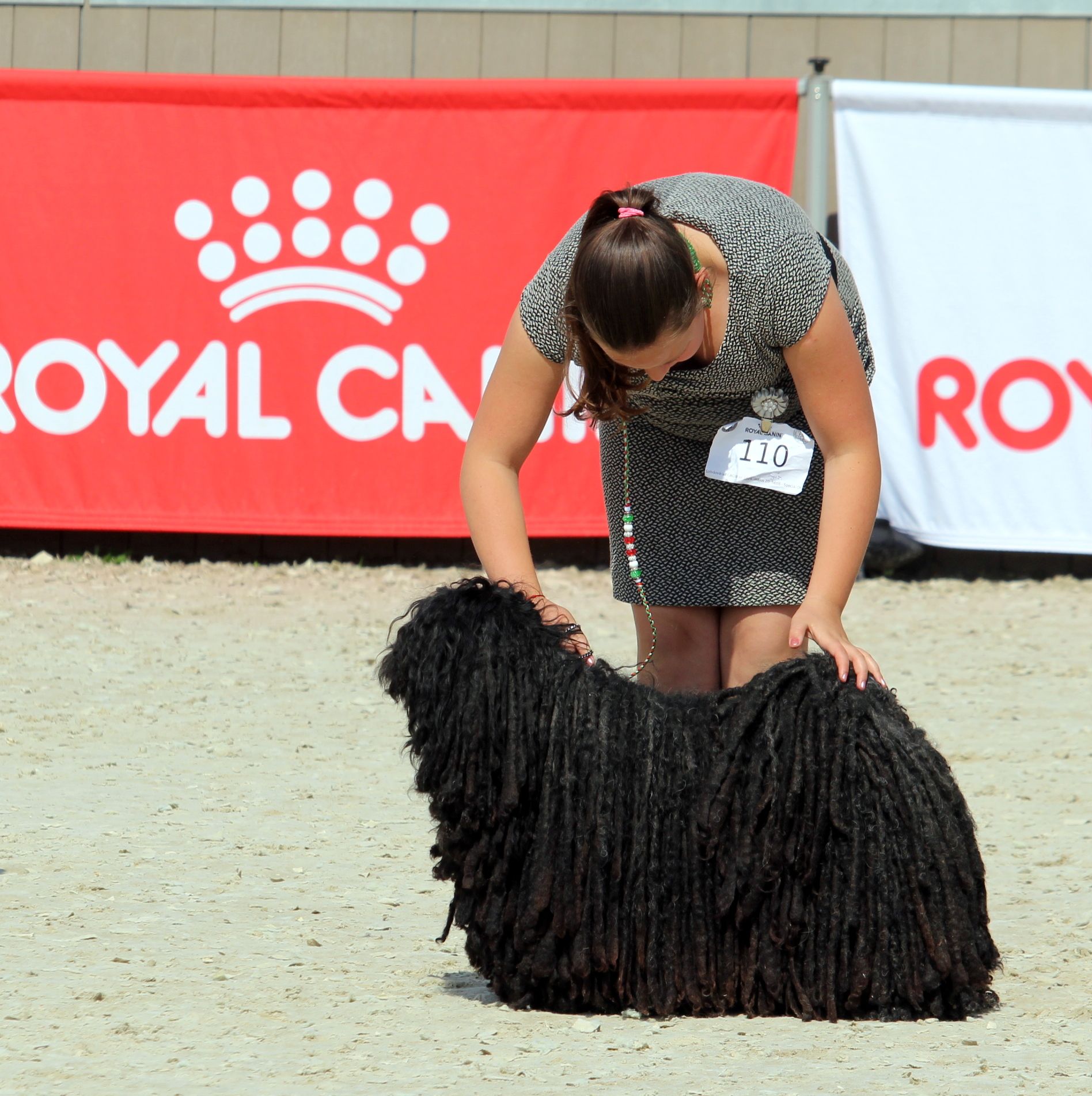 497524176_23937408182511577_7477500223892402728_n