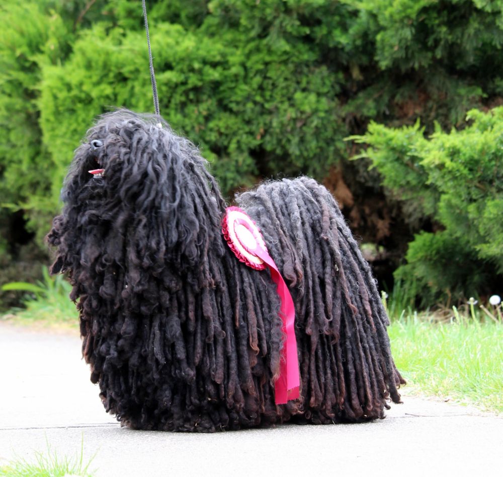 497607031_23927863153466080_4884877149631521680_n