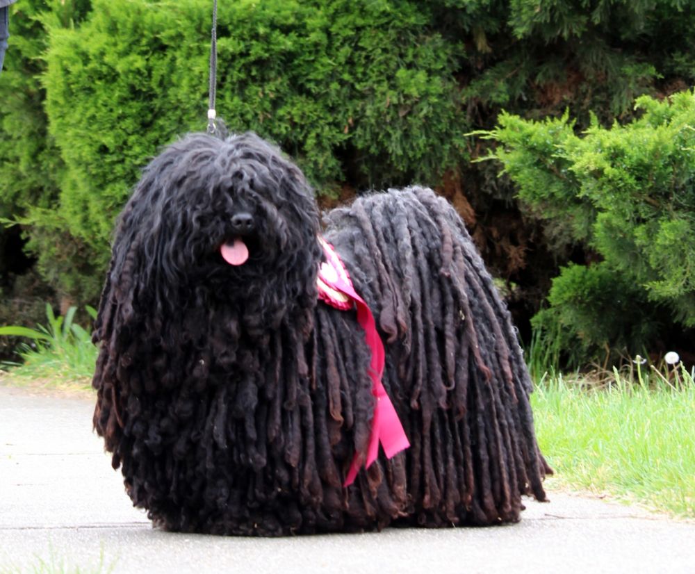 497765234_23927863393466056_2584664808376423079_n