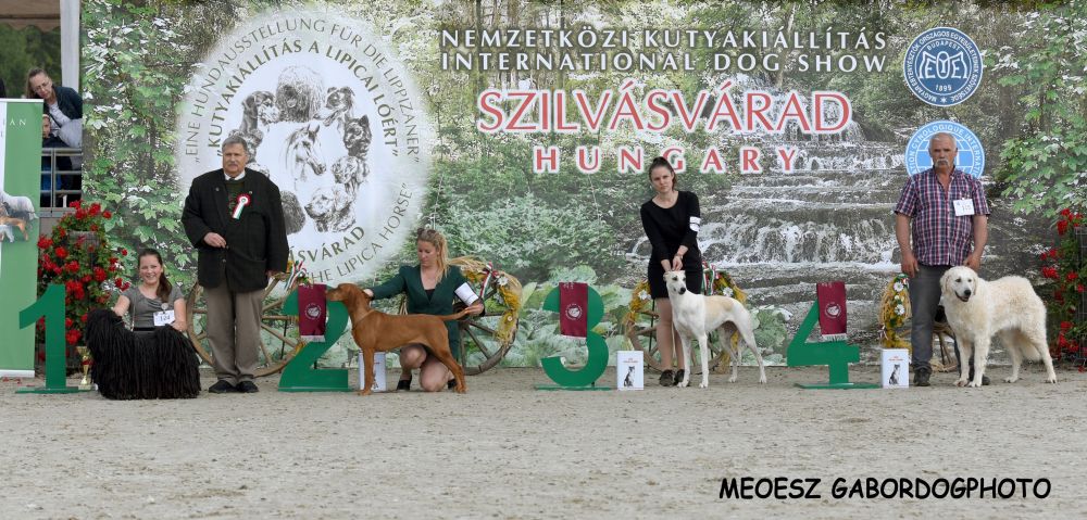 498301488_23937408179178244_3808793574966580051_n