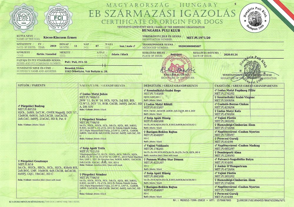 kcos_kincsem_rmes_tk