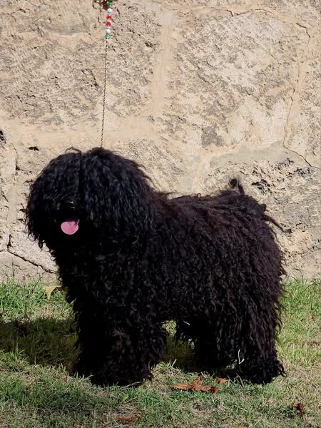 462125971_8755044927841150_6717057282553812809_n