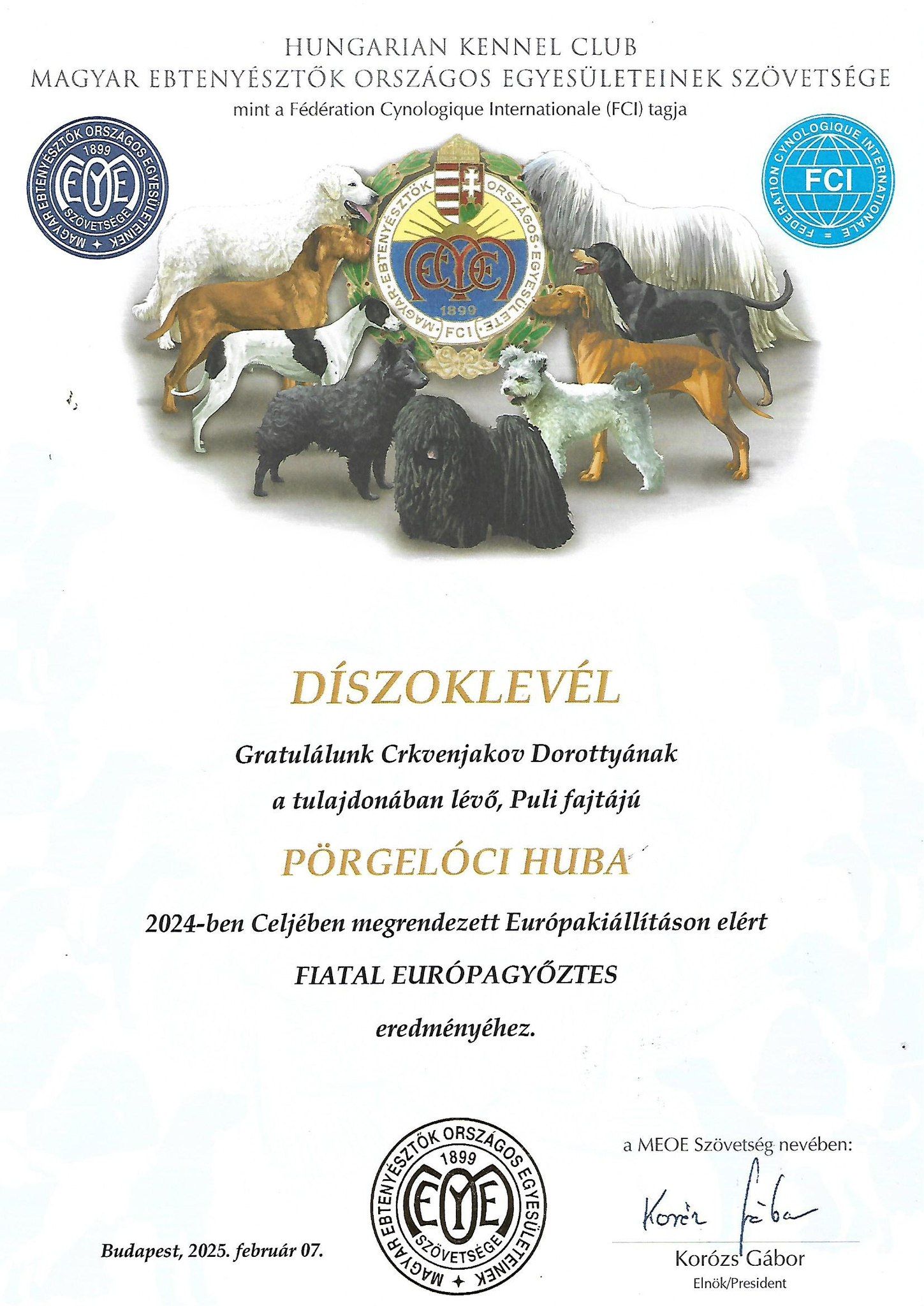 476349621_9516630891682546_8579784203517224180_n