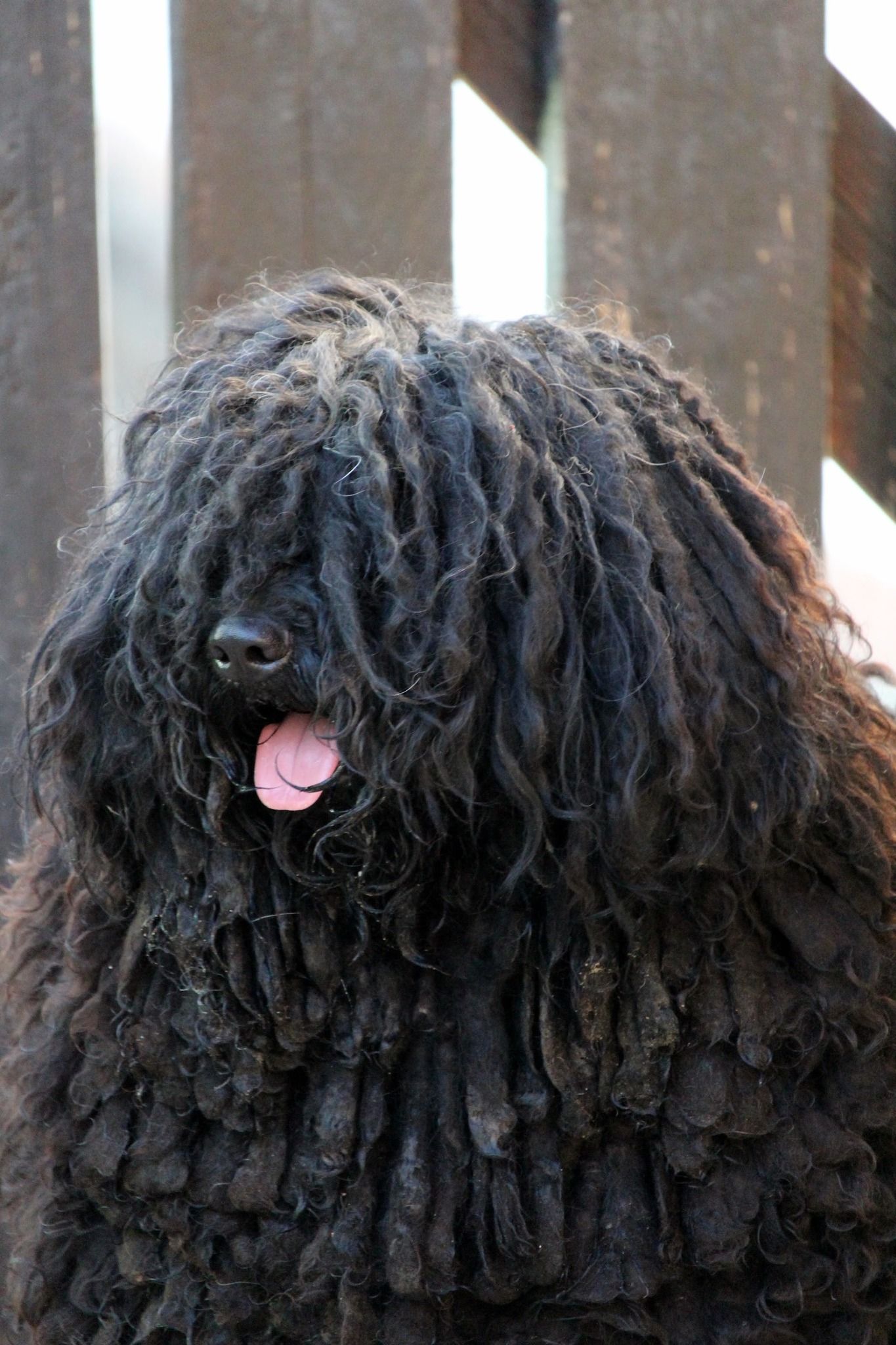 494543445_10059009054111391_5082493288878981021_n