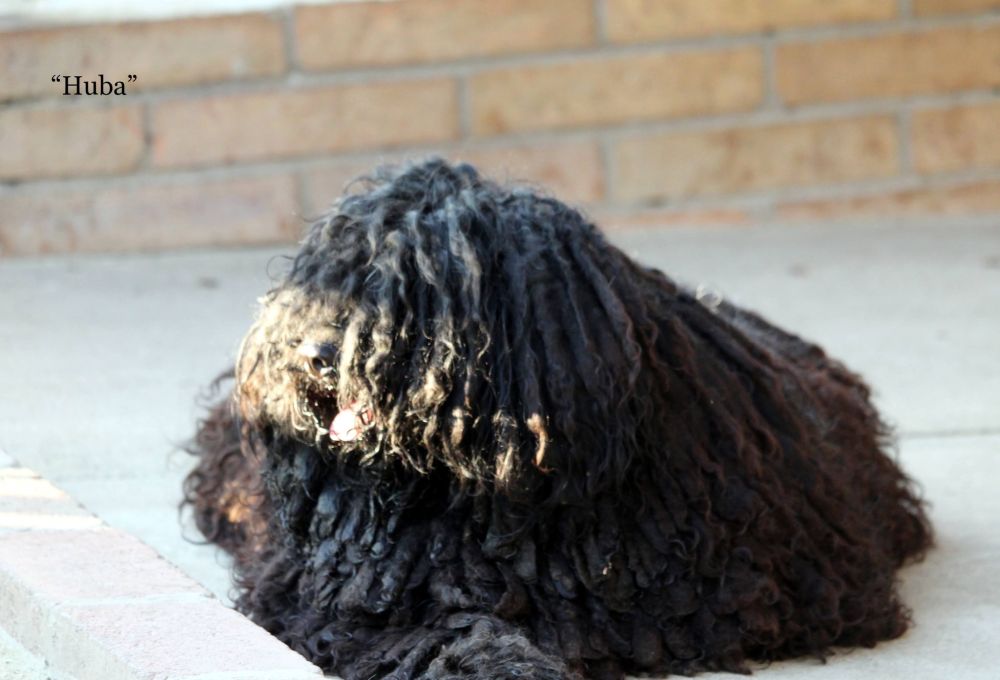 494758907_10059010074111289_7165446155684924099_n