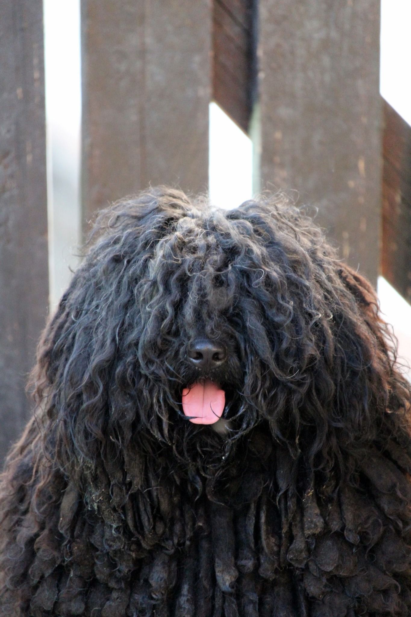 494977016_10059008440778119_1177082992932291908_n