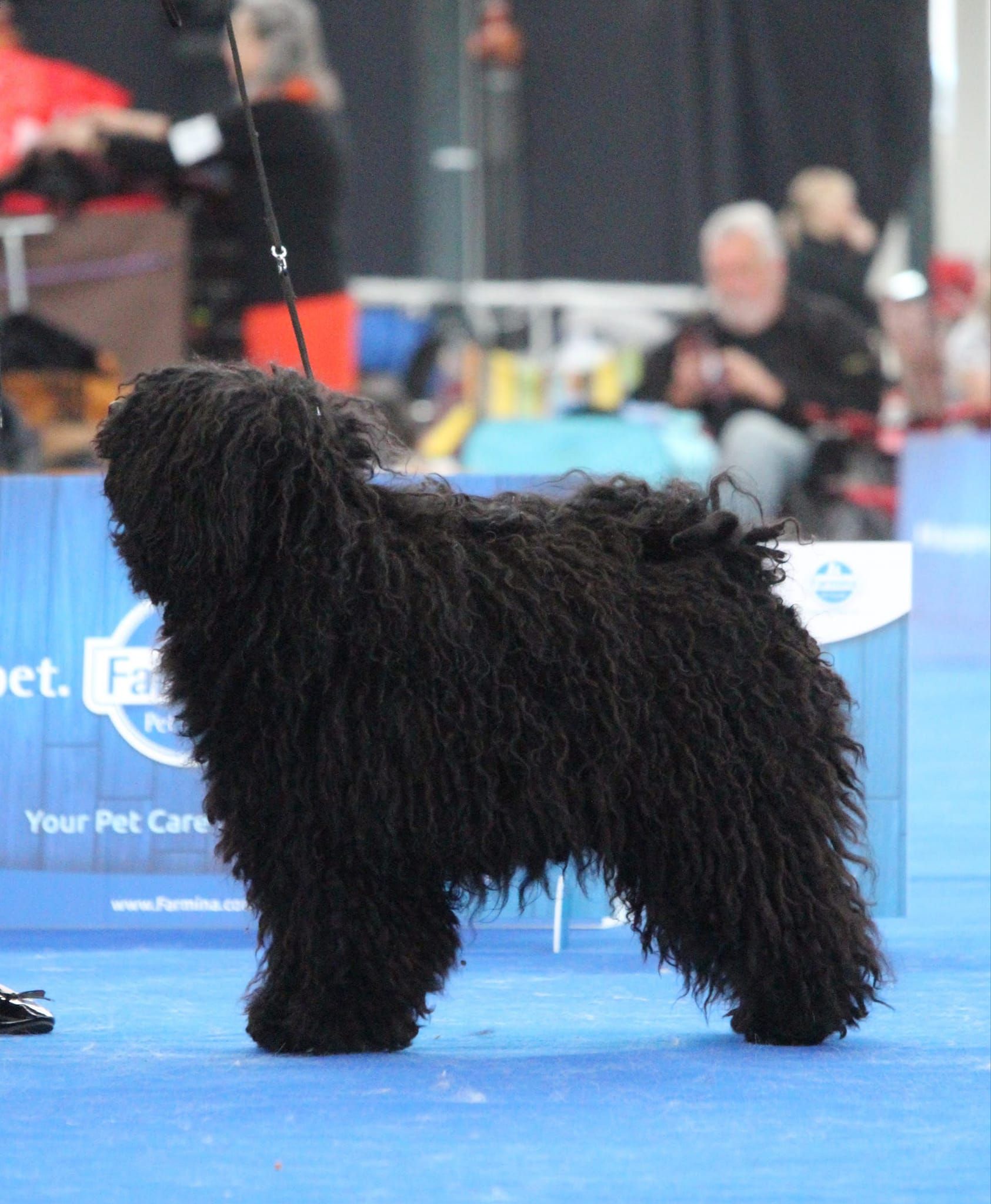 496828471_23929609839958078_3752447666520171757_n