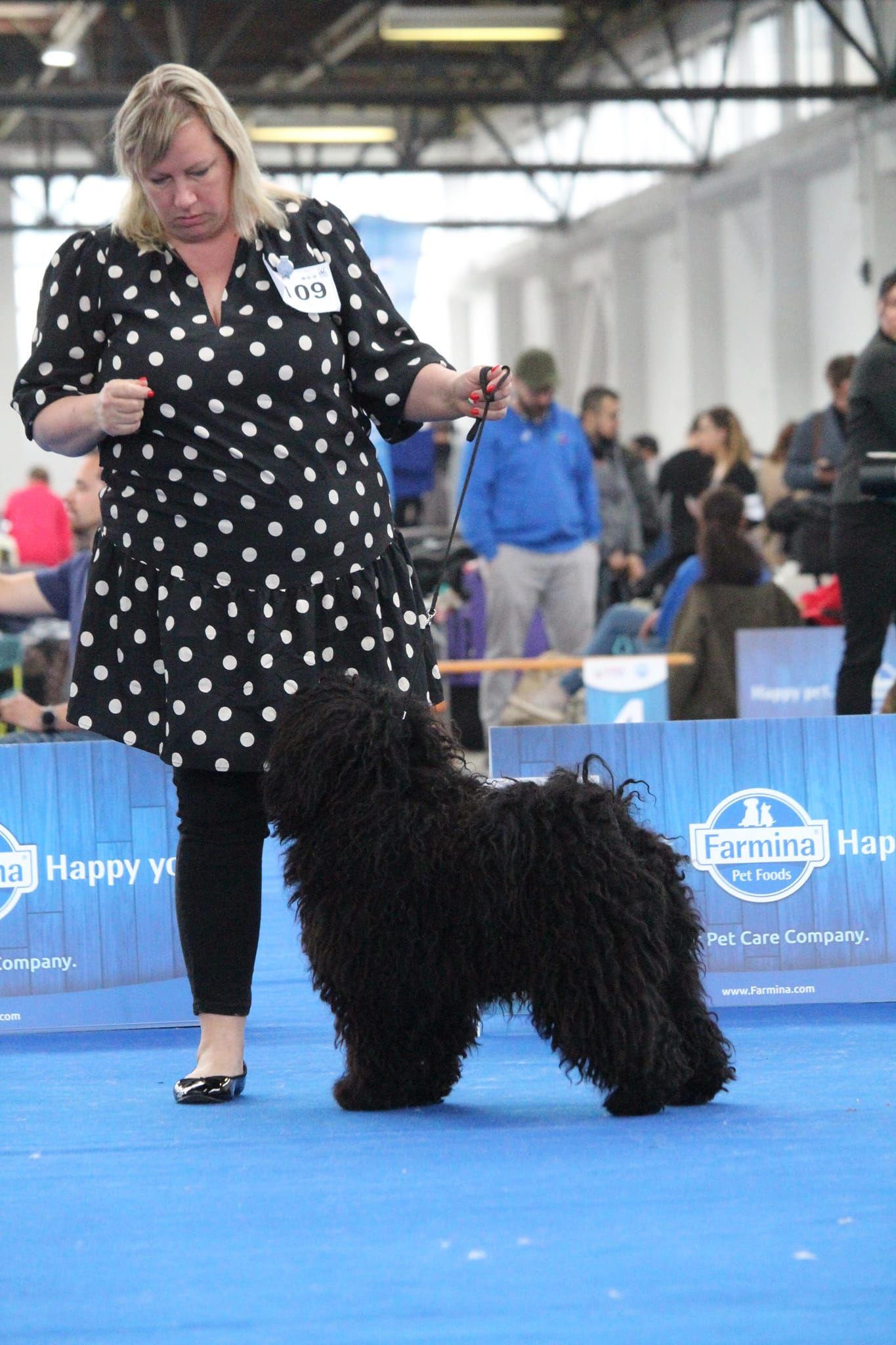 497523536_23929610109958051_8123421734668780158_n