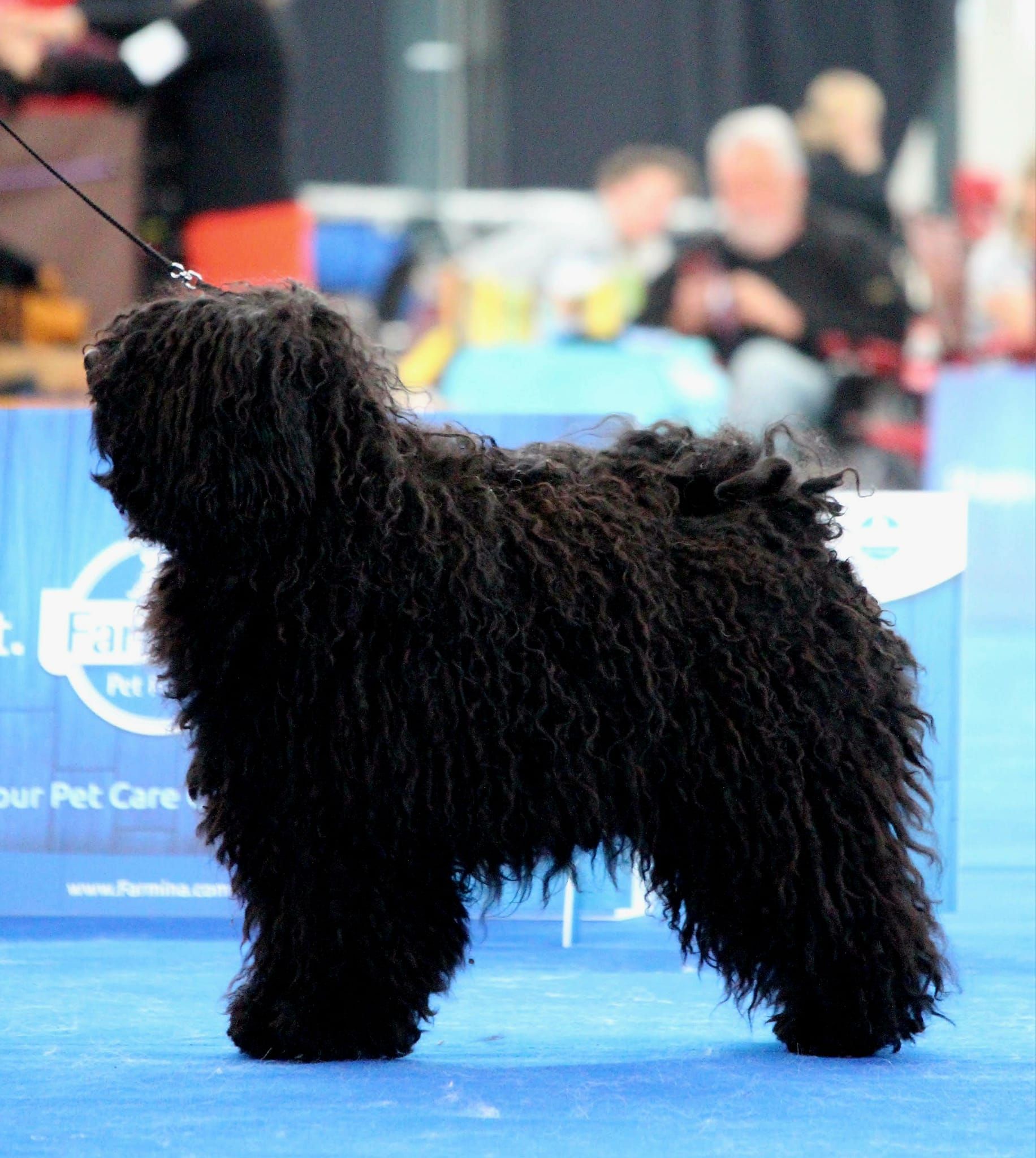 497902756_23929610033291392_3634168318907349111_n