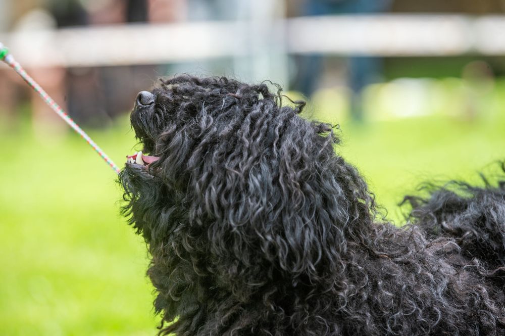 498185651_23945842331668162_1878421001525508397_n