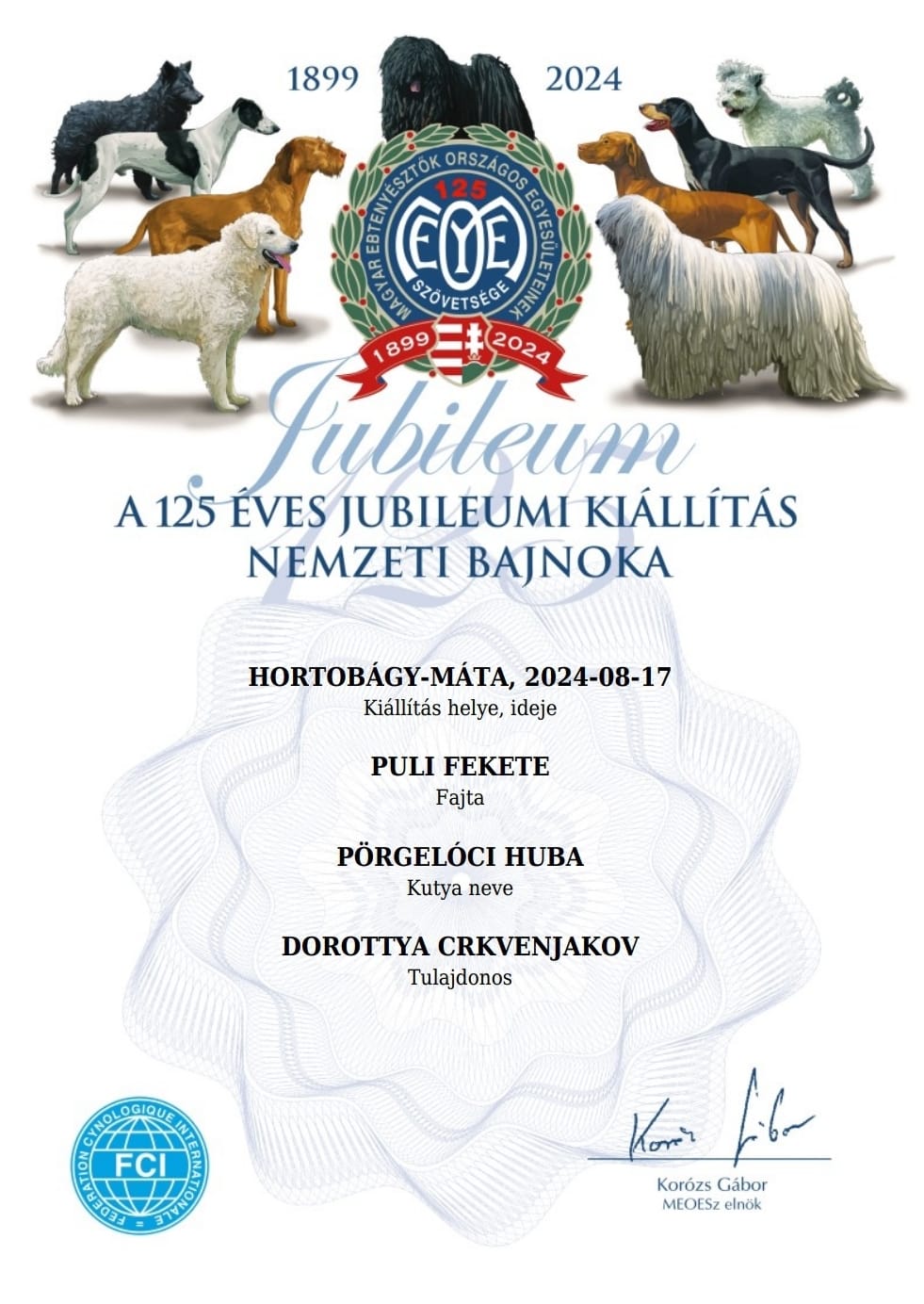 502585134_24065755829676811_5735535165815498408_n