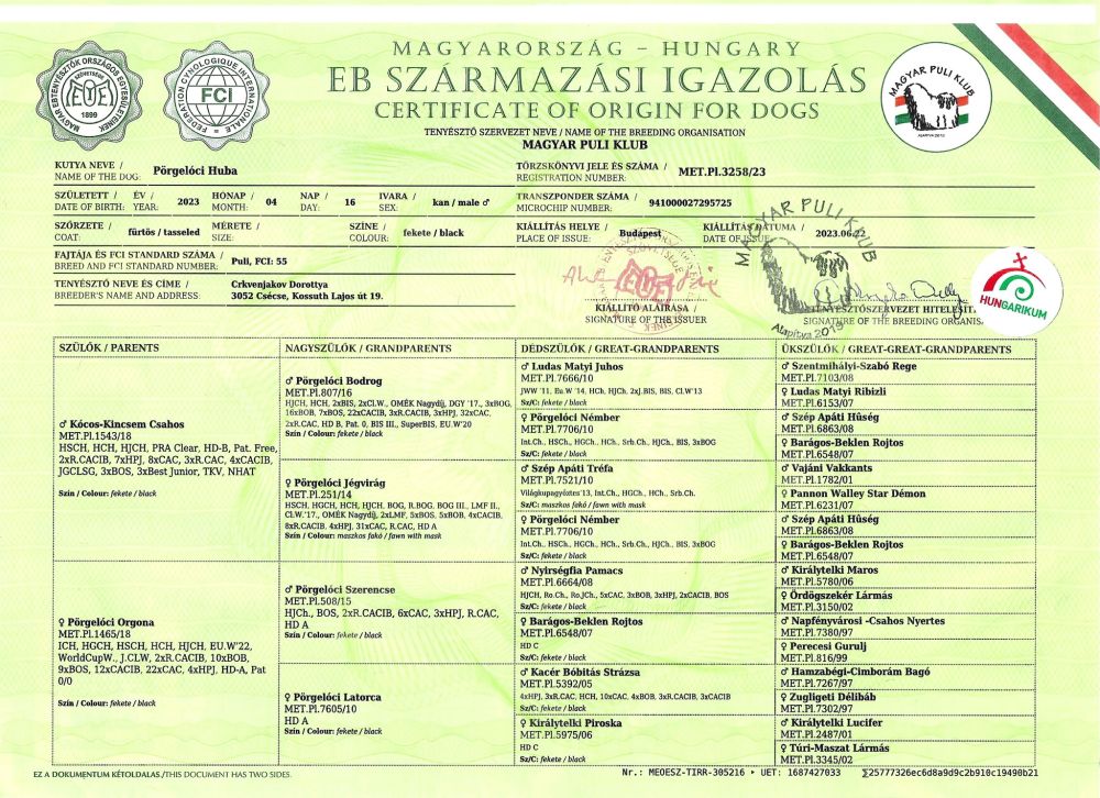 579096484_25432330123019368_2997294470920353471_n