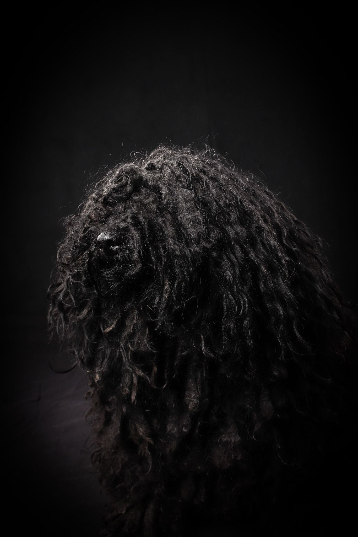 480091212_9405470386175717_8984959392108646770_n