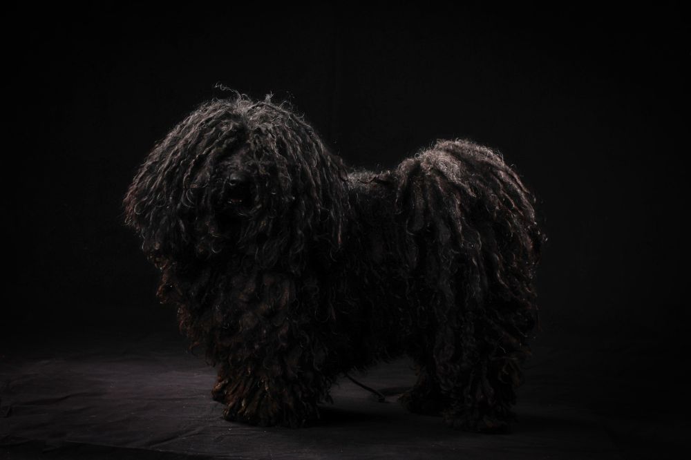 480504317_9405470896175666_7585155520364617330_n