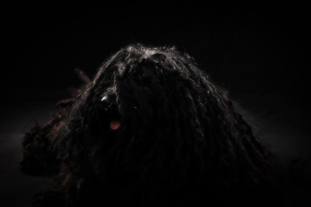 480664892_9405470696175686_3613274571488621612_n