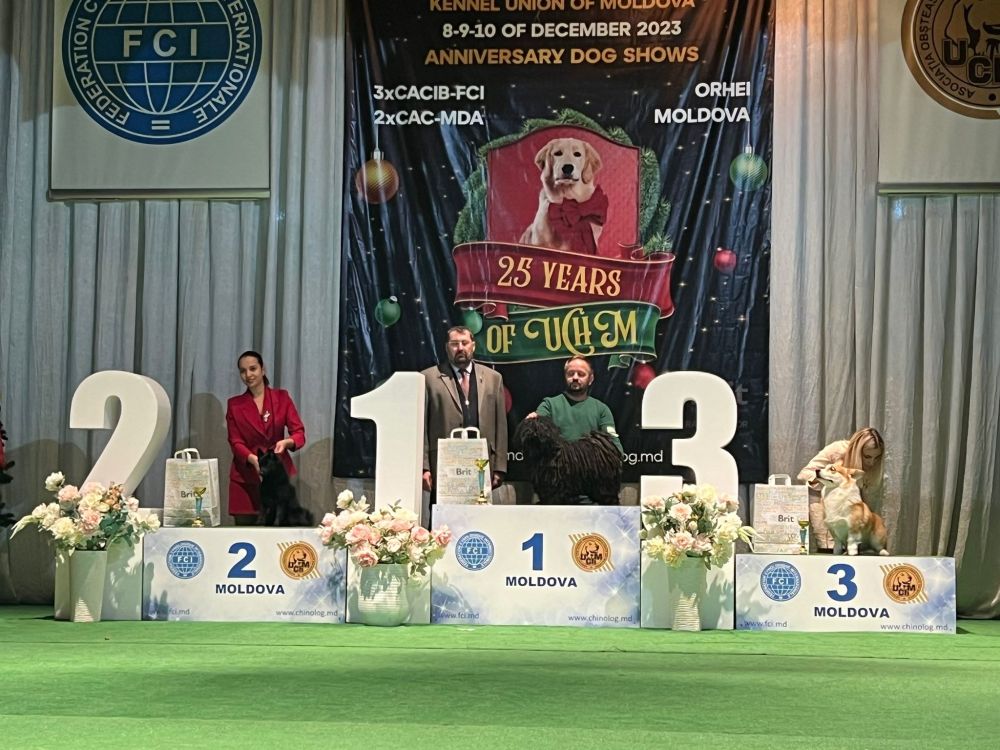 490412734_9756662174389868_293173800888932405_n