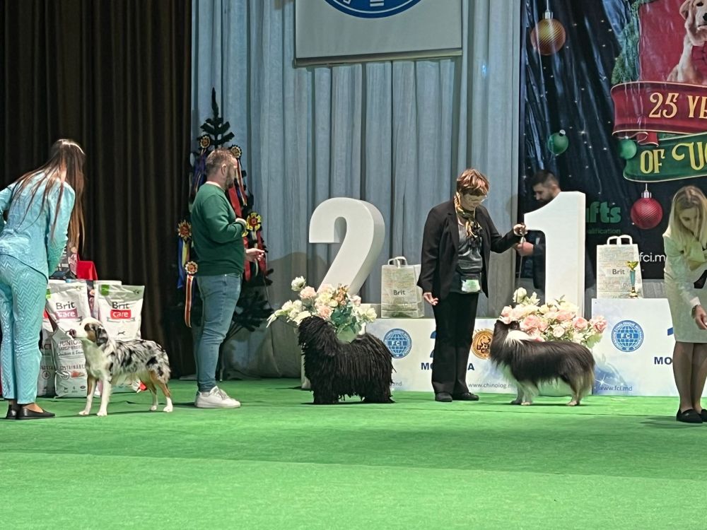 490640410_9756662161056536_6391524792930313167_n