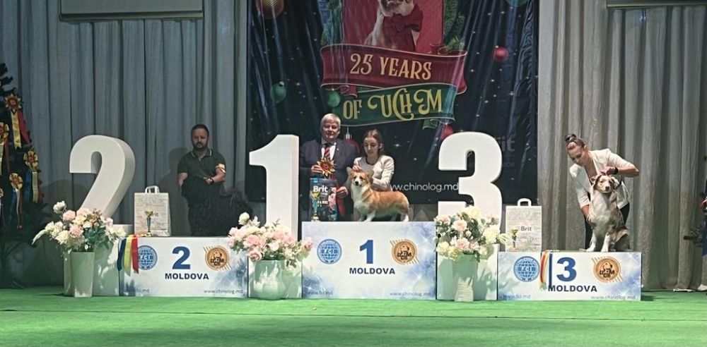 491307141_9756661721056580_7561210075702647568_n