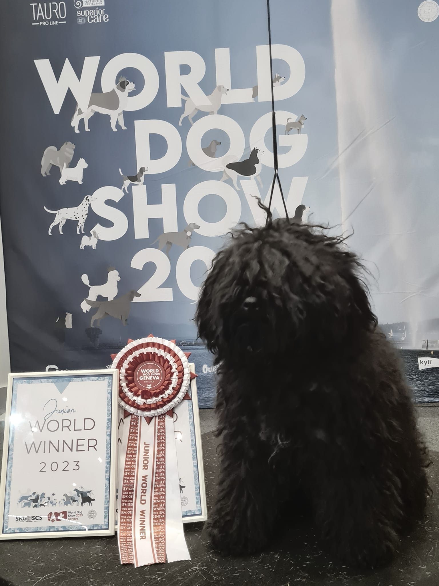 493671715_10026094214069542_1713426474179181574_n