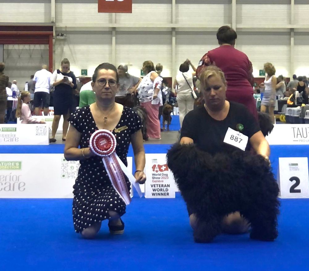 494212596_10026094310736199_8085110342796437285_n